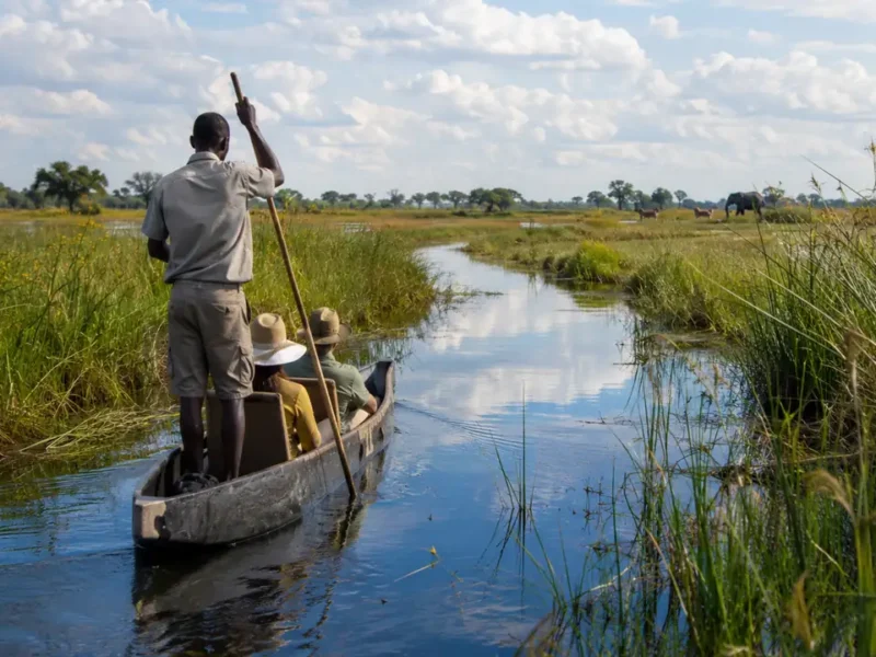 Safari en Botsuana de 10 días: Okavango, Moremi y Chobe