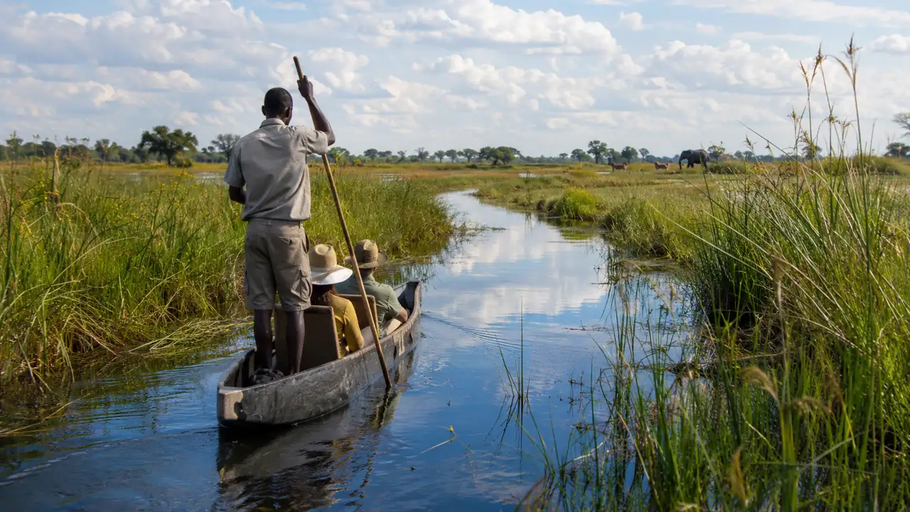 Safari en el Delta del Okavango: el paraíso acuático de Botswana