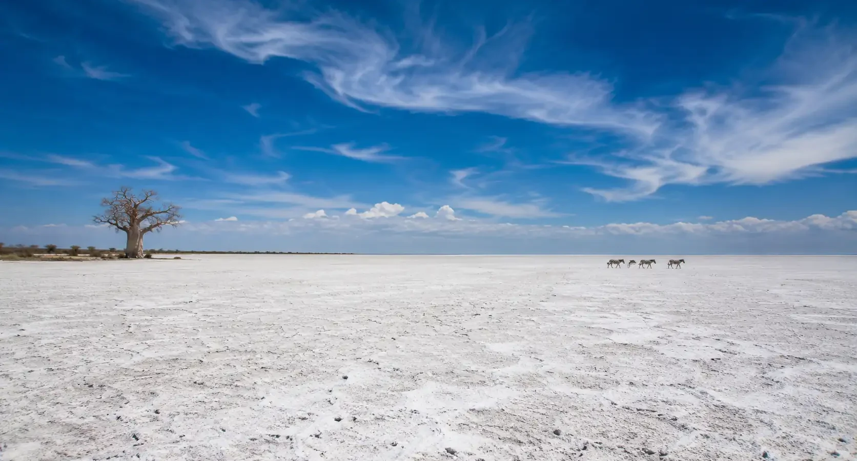 Safari en las Salinas de Makgadikgadi: el espejo del cielo en Botswana