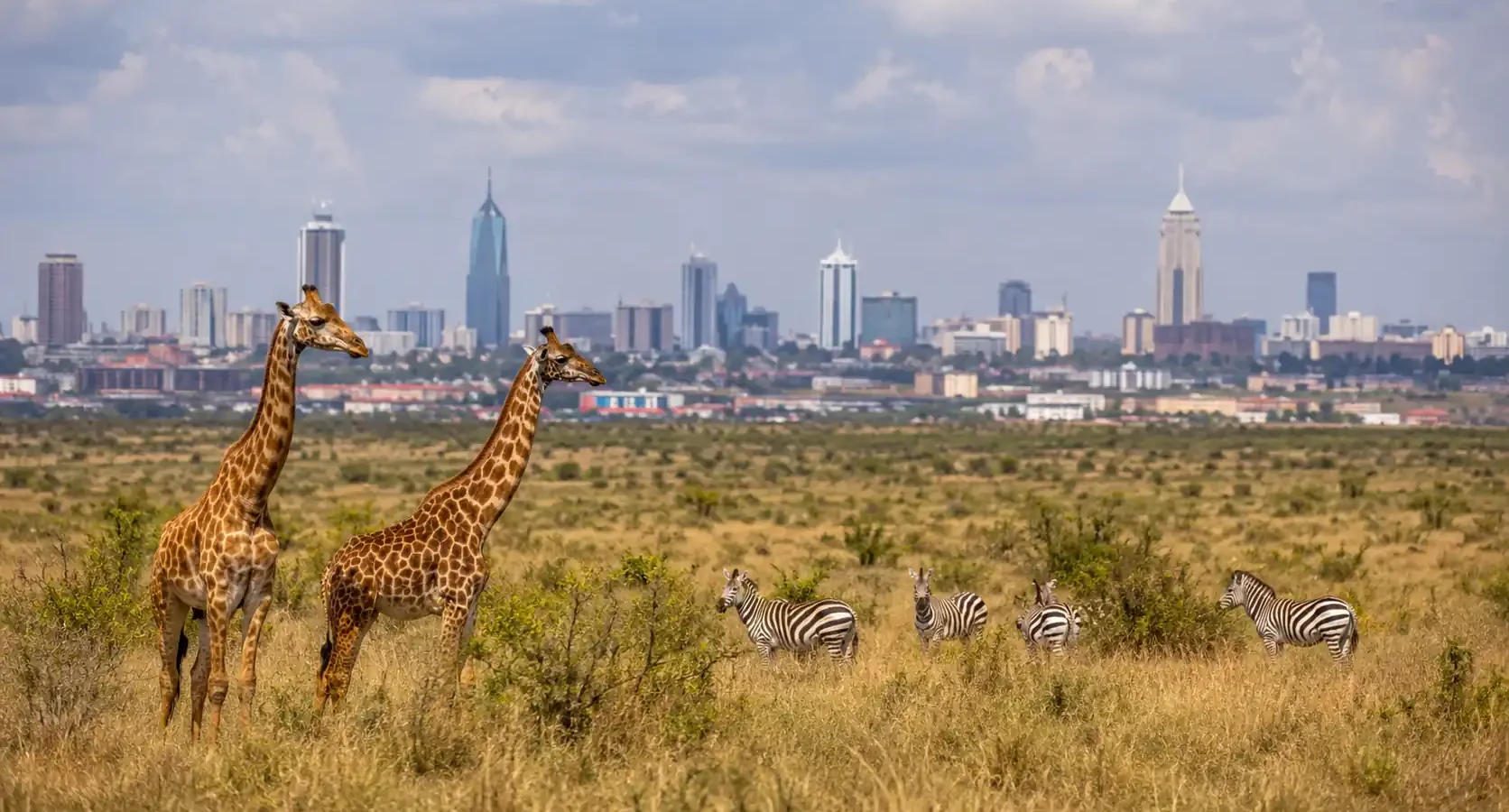 Safari en Nairobi