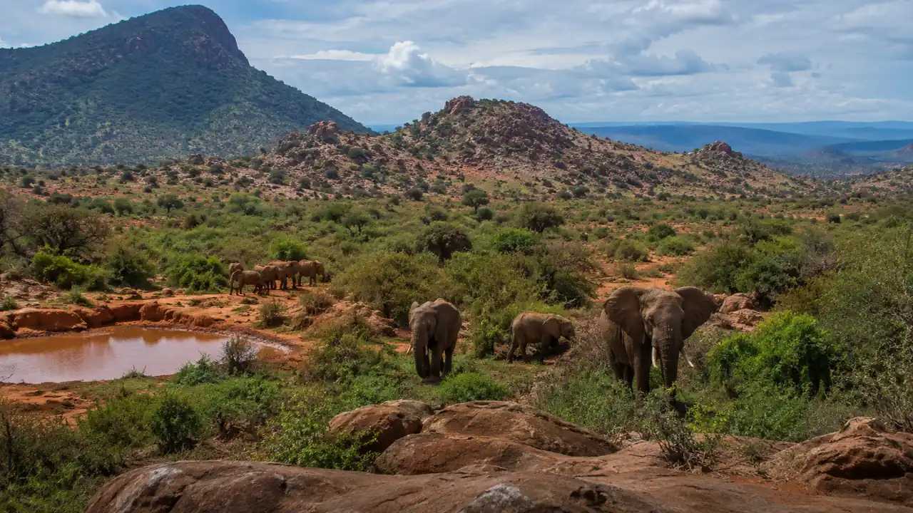 Safari en el Parque Nacional Tsavo West: volcanes, rinocerontes y manantiales