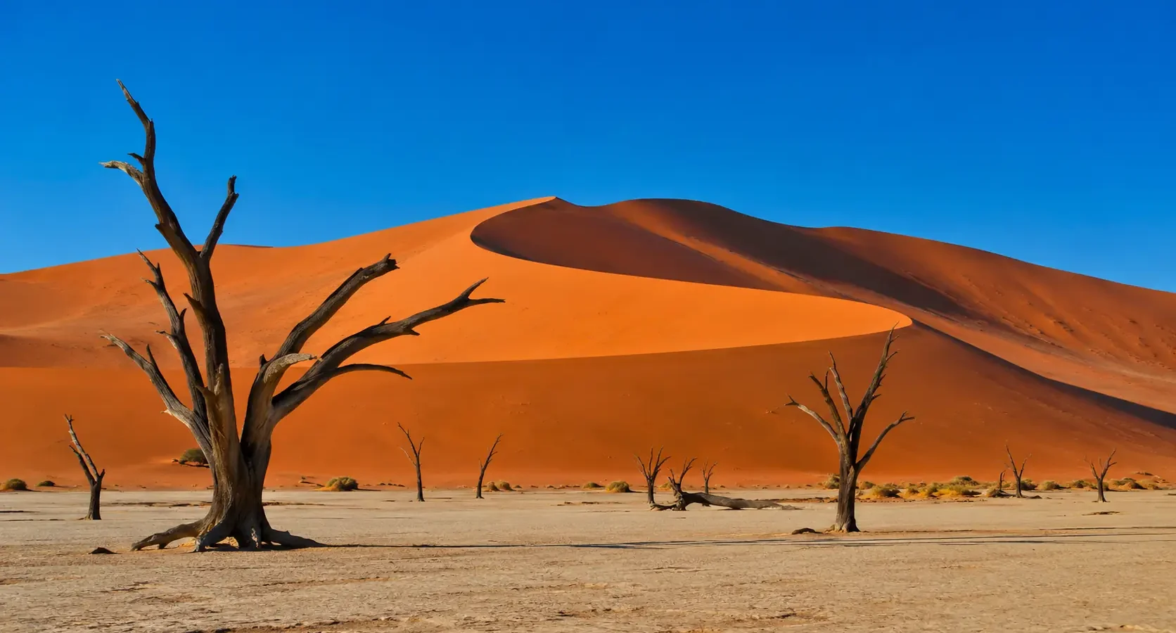 Sossusvlei y el Desierto del Namib: las dunas más altas del mundo en Namibia