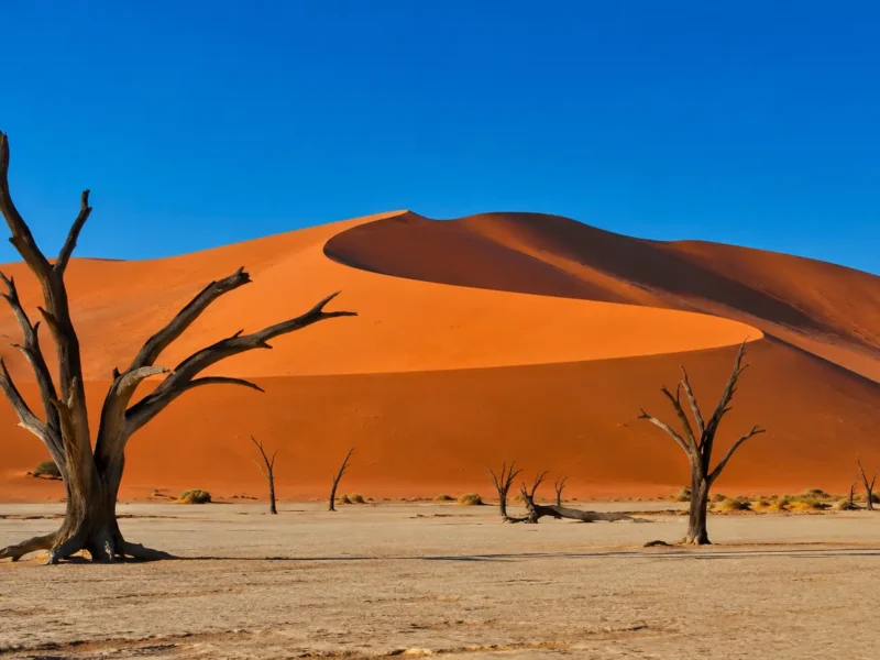 Safari en Namibia de 11 días: Sossusvlei, Damaraland y Etosha