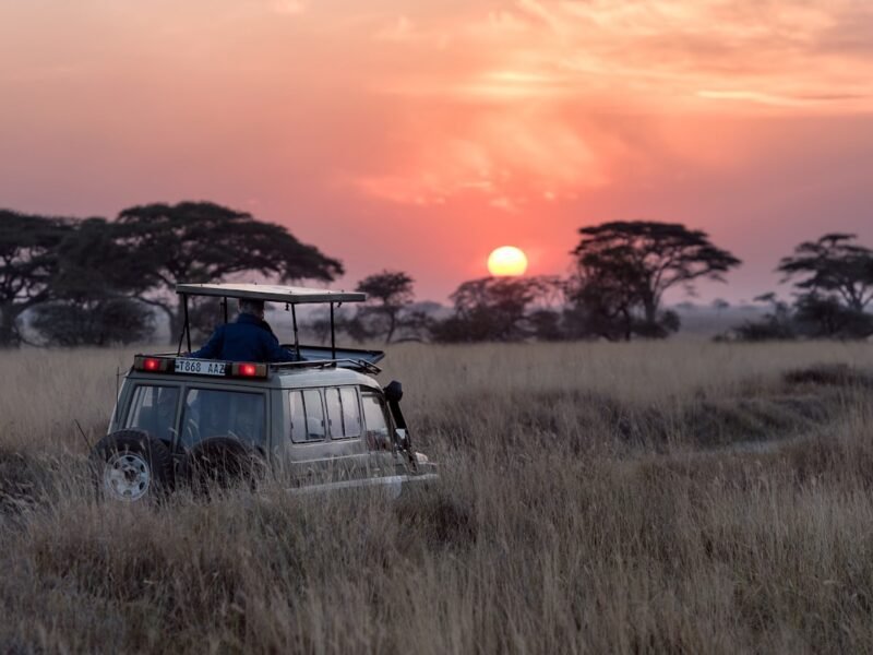Safari en Tanzania de 6 días: Tarangire, Serengeti y Ngorongoro