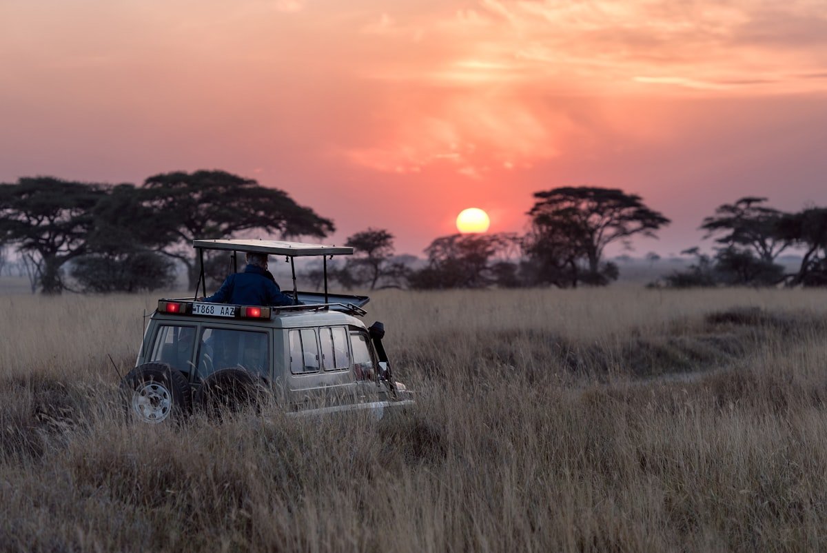 Safari en Tanzania de 6 días: Tarangire, Serengeti y Ngorongoro