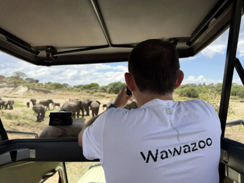 Visado para Tanzania para españoles: cómo tramitarlo