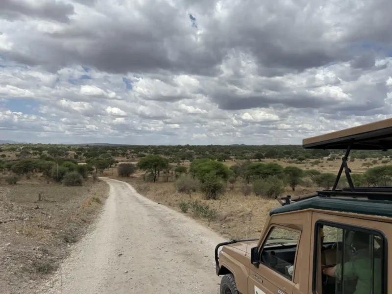 Cuántos días necesitas para un safari en Tanzania