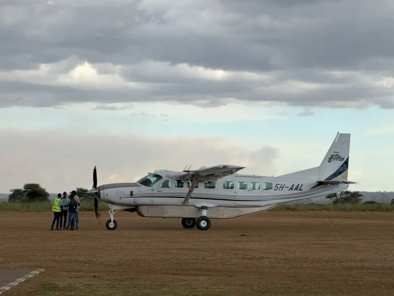Seguro de viaje para Tanzania: qué debe cubrir tu safari