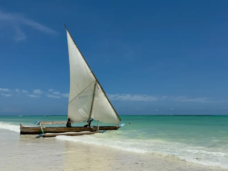 Safari en Tanzania y Zanzíbar, 11 días: Manyara, Serengeti y cuatro noches de playa
