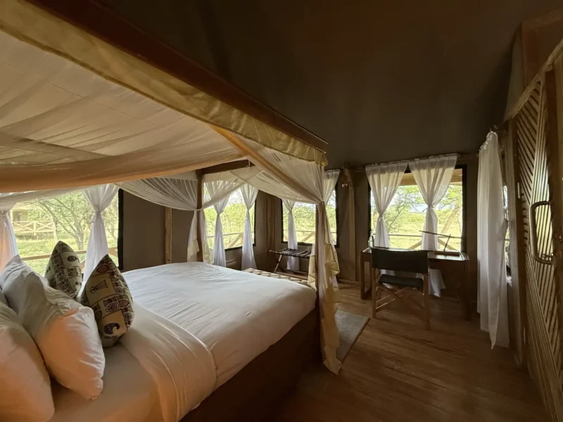 Vacunas para viajar a Tanzania: qué necesitas