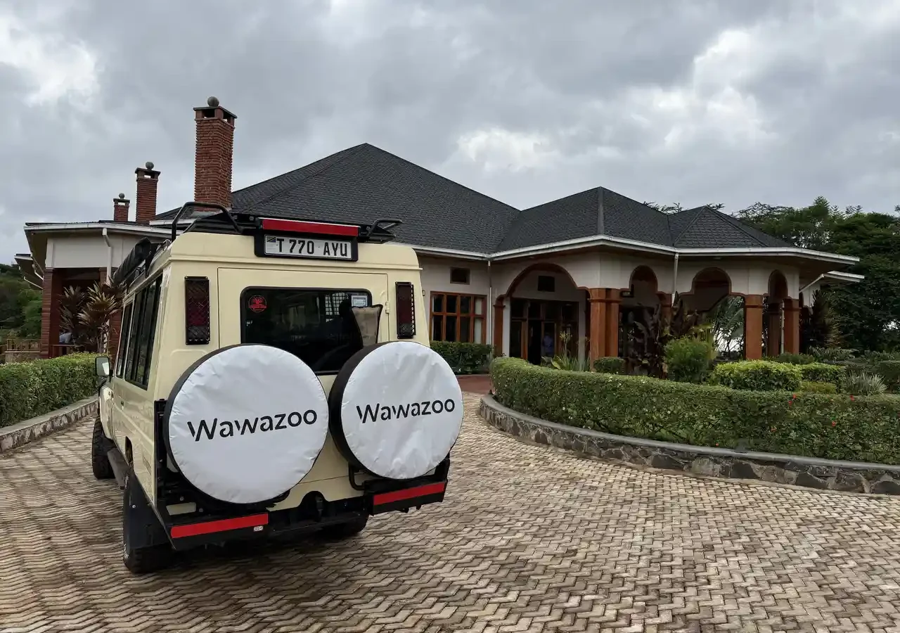 Cuánto cuesta un safari en Tanzania: precios y factores