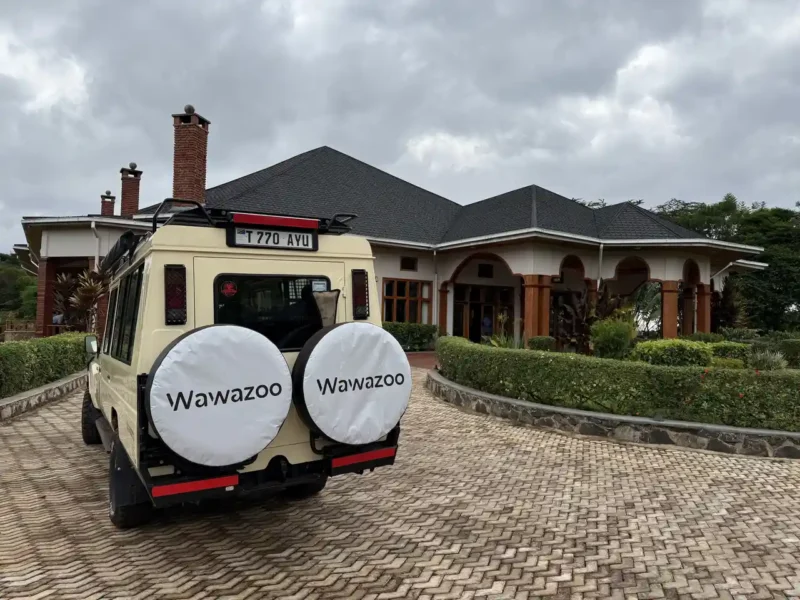 Cuánto cuesta un safari en Tanzania: precios y factores