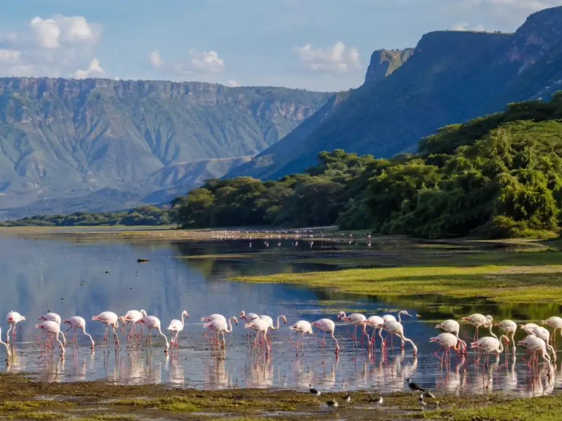 Safari en Tanzania de 7 días: Tarangire, Manyara, Serengeti y Ngorongoro
