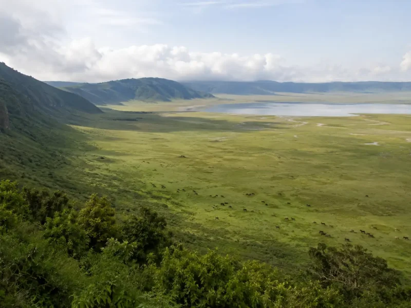 Safari en Tanzania de 7 días: Serengeti, Ngorongoro y Tarangire
