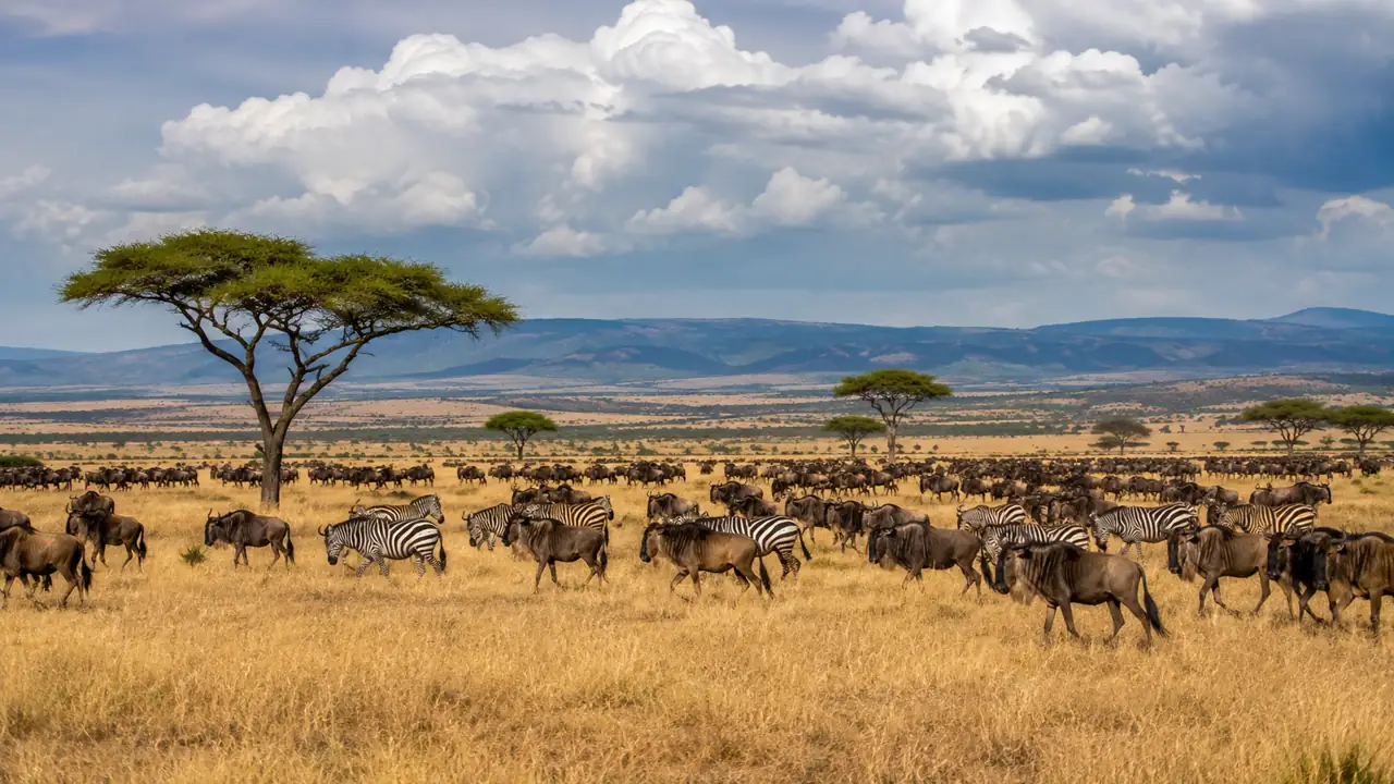 Safari en el Serengeti