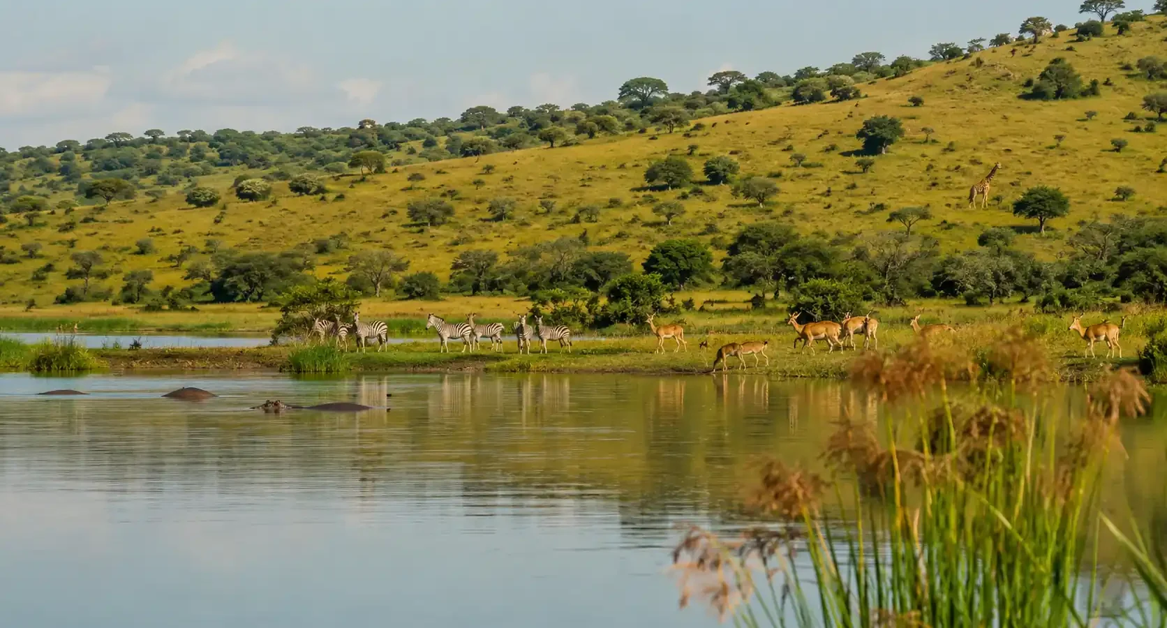 Safari en el Lago Mburo: cebras, canoas y el parque más accesible de Uganda