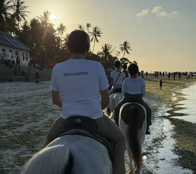 Safari en Tanzania y Zanzíbar, 9 días: el norte y tres noches de playa