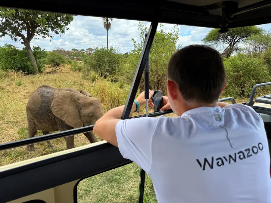 Safari con Wawazoo