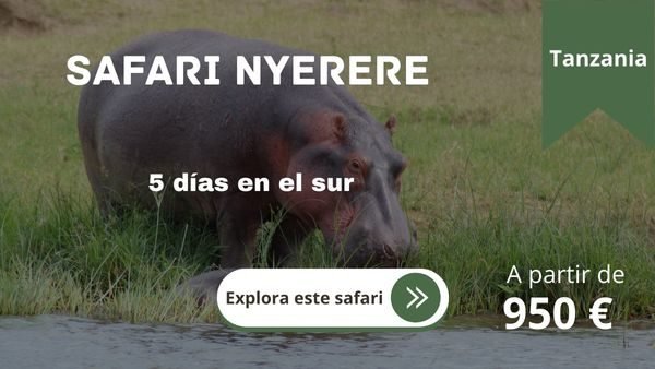 safari nyerere 5 dias